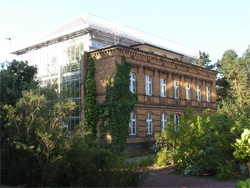 Martin-Luther-Universität