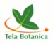 Tela Botanica