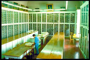 Museo di Storia Naturale dell'Università, Firenze