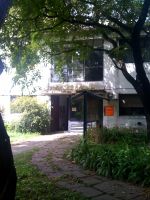 Herbario Gaspar Xuárez Universidad de Buenos Aires