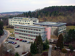 Herbarium Tubingense University of Tübingen