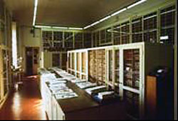 Centro Studi Erbario Tropicale Università degli Studi di Firenze