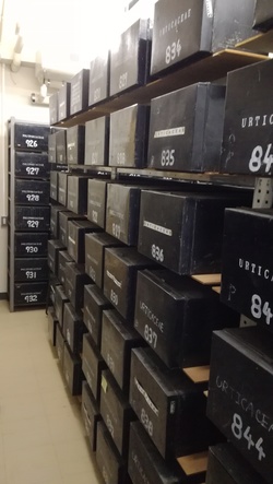 The Herbarium of Kagoshima University Museum