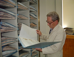 Herbario del Centro Regional del Bajío - Instituto de Ecología, A.C.