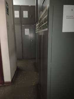 Herbario de la Facultad de Ciencias Forestales de la UNALM