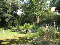H. G. W. J. Schweickerdt Herbarium, University of Pretoria