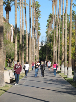 Arizona State University Hebarium