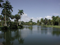 Fairchild Tropical Botanic Garden